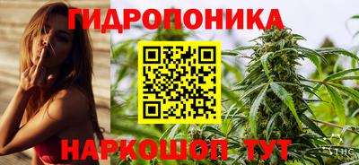 мяу мяу мука Будённовск