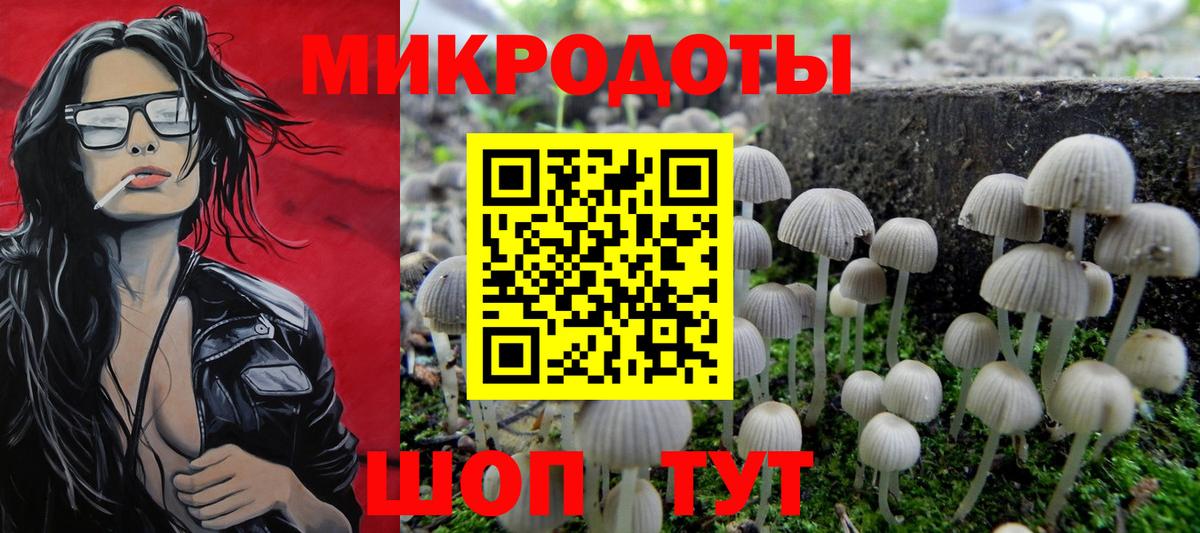 Галлюциногенные грибы прущие грибы Ирбит
